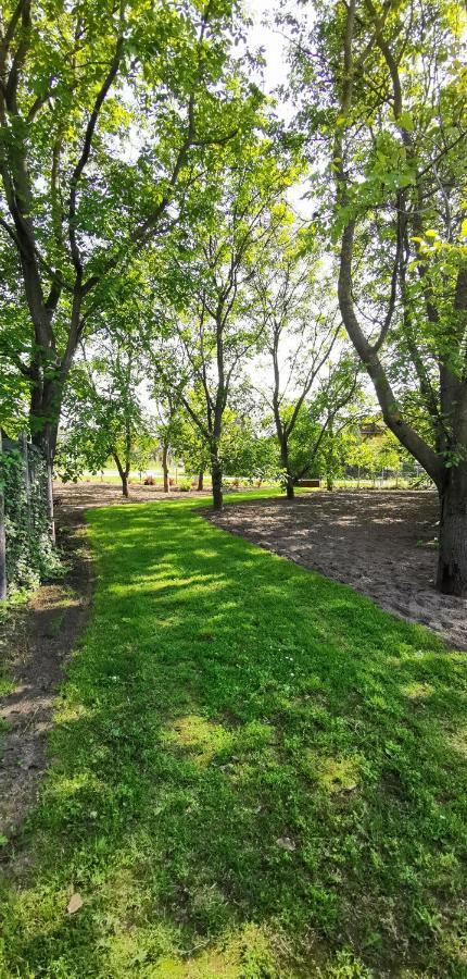 קצ'קמט Szent Erzsebet Apartmanhaz מראה חיצוני תמונה